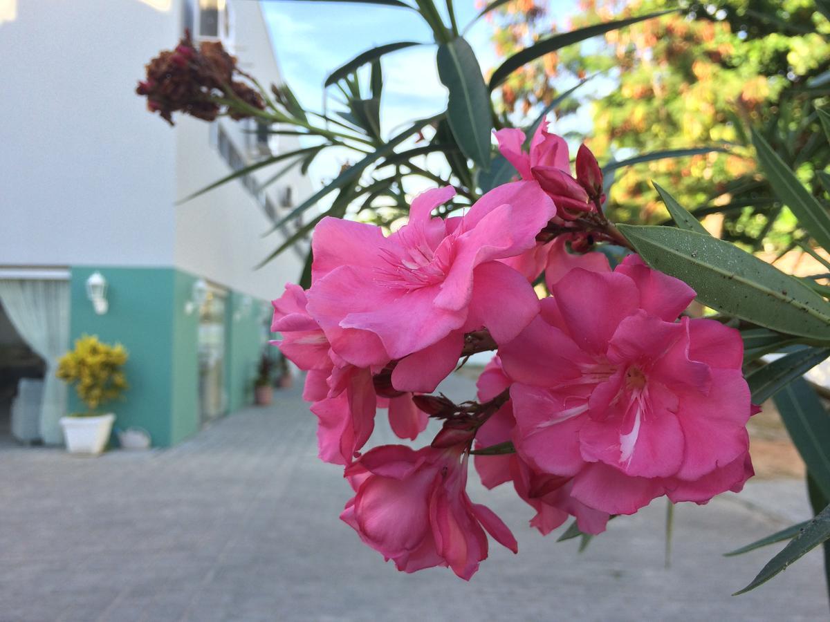 Scenarium Hotel Jaboatao dos Guararapes Eksteriør bilde